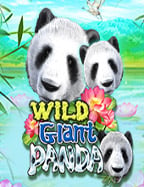 ufa191 สล็อต: เทคนิคและวิธีเล่นให้สนุก