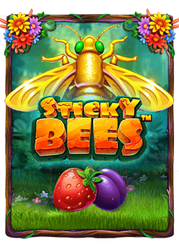 เว บ sbobet ด ไหม? มาดูวิธีเล่นกันเถอะ